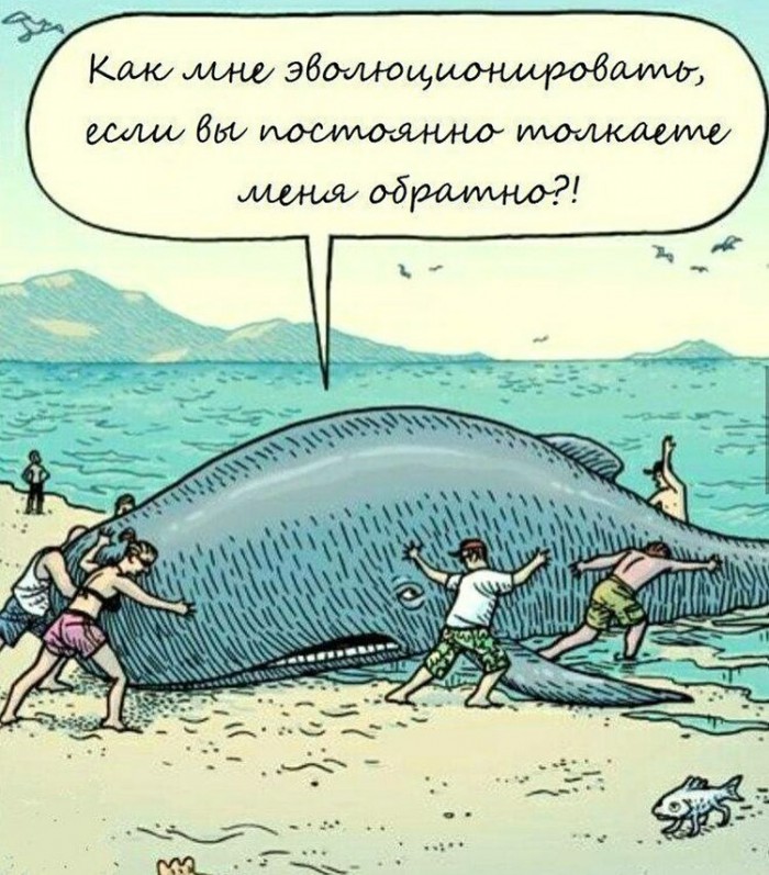 Подонковщина