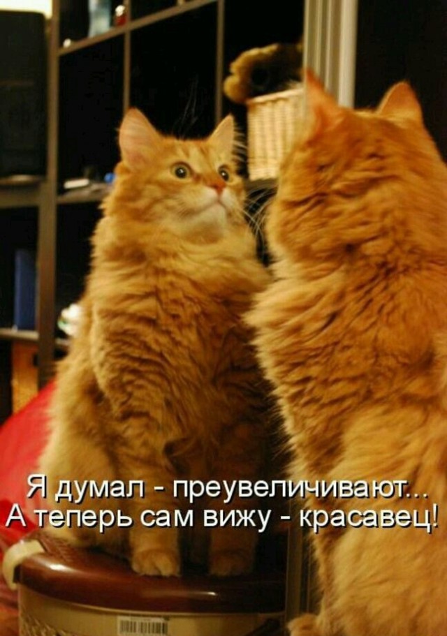 Лечим воскресное похмелье дубиной деградации