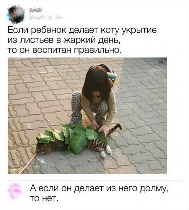Немного картинок для настроения 19.12.19