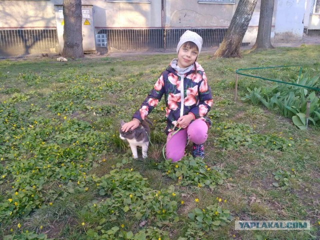 Давайте по котикам, которые с нами на самоизоляции