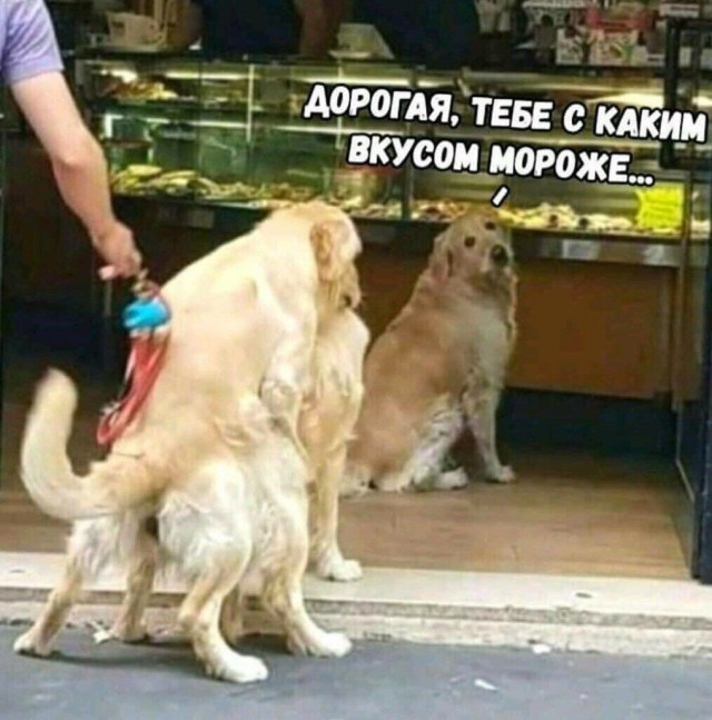 Прикольные и просто красивые картинки 10.09.2020