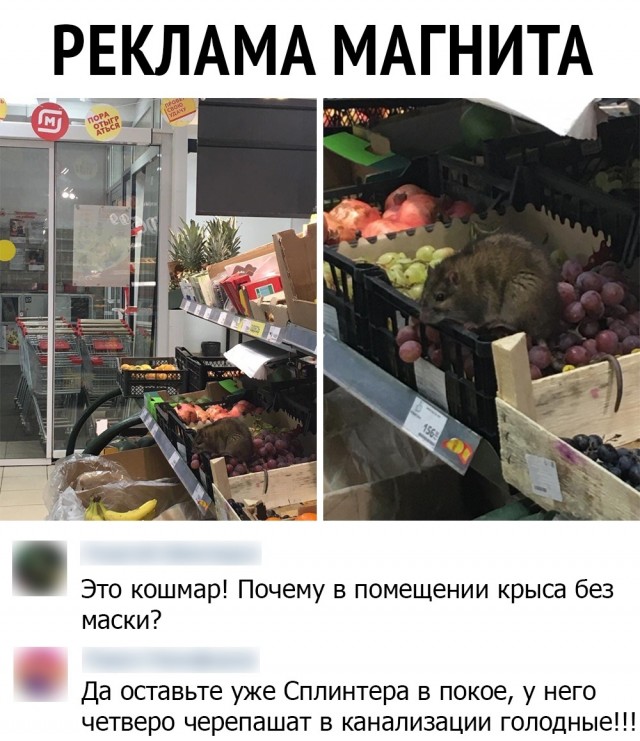 Немного картинок с текстом и без
