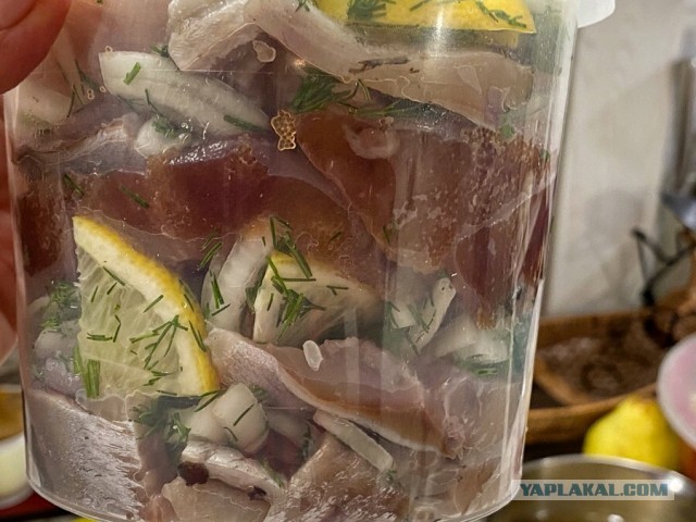 Посиделки под селёдку