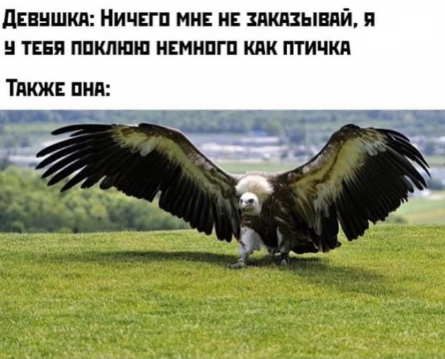 Картинки с надписями и всякие жизненные фразы 10.1.21
