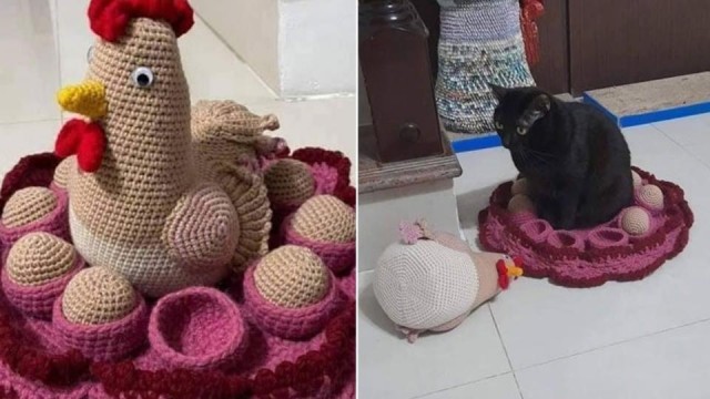 Кошки часто любят отдыхать там, где их, в принципе, не должно быть