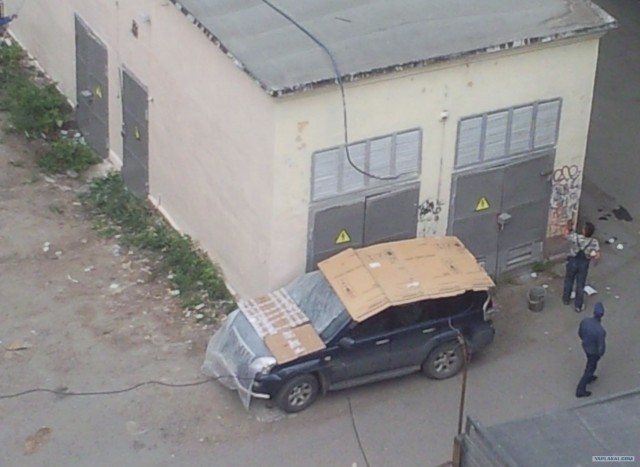 Не растерялись