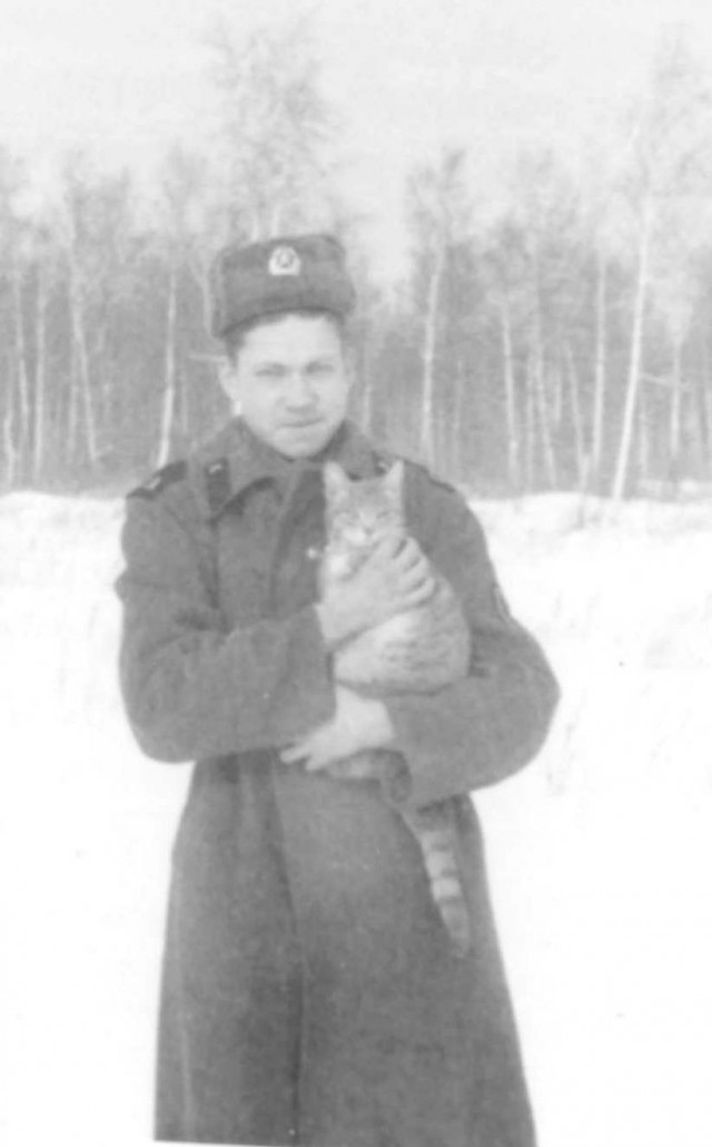 Котёнок