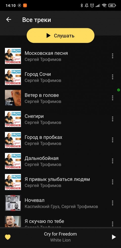 День города Рыбинска. Прививочное деление
