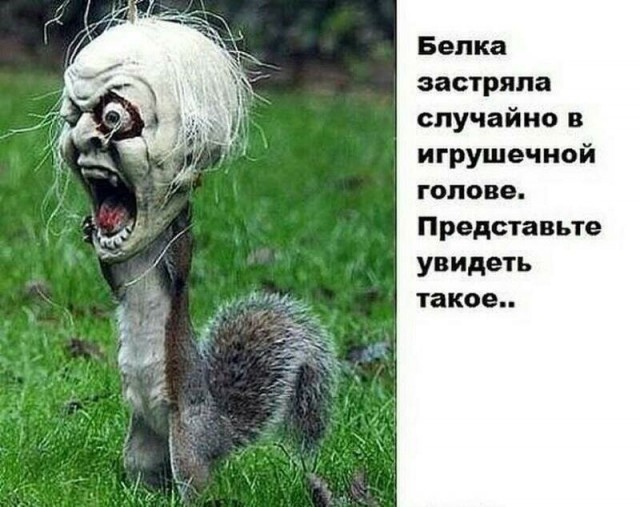Картинки всякие и аморальные - 14