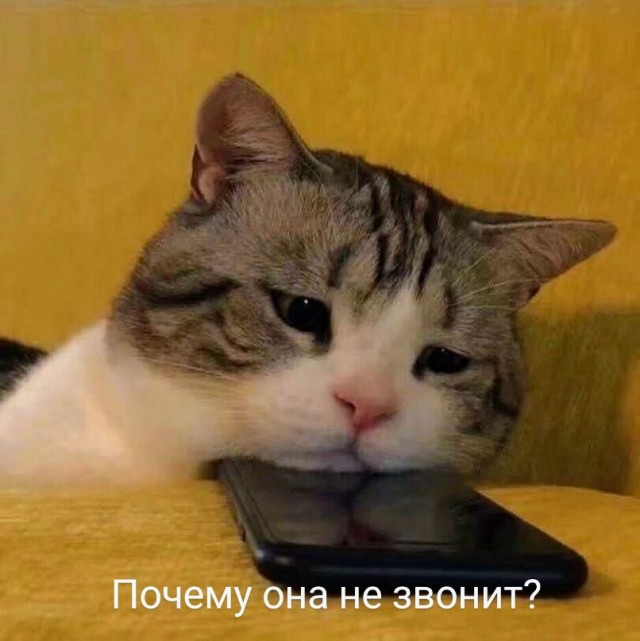 Картинки и мемы для настроения 25.11.2021