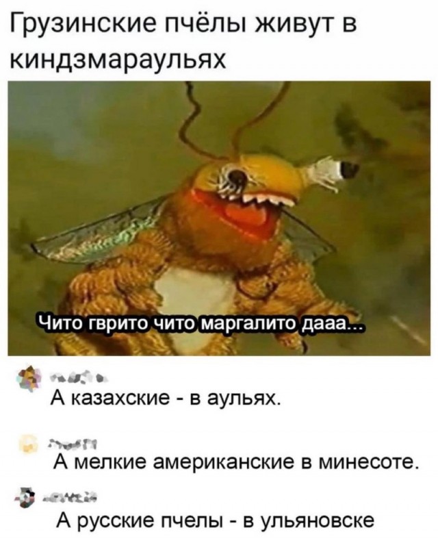 Человек собаке друг и другие картинки под настроение 13.01.2022