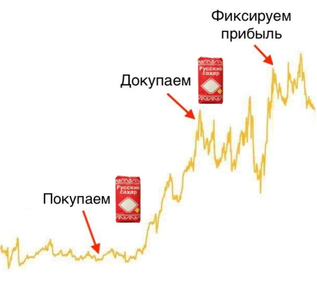 Пандемия. Коронавирус и съехавшие крыши. Россия и мир. Часть 31.