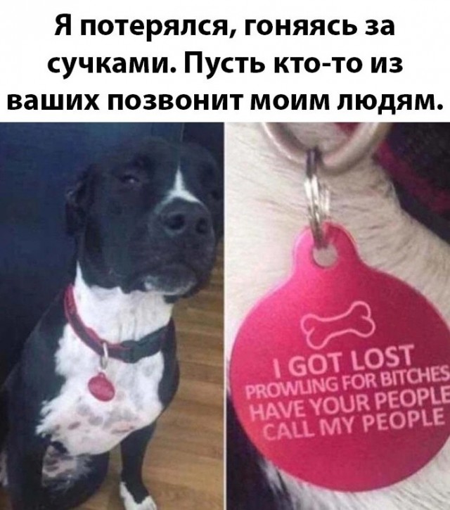 Аморальные картинки