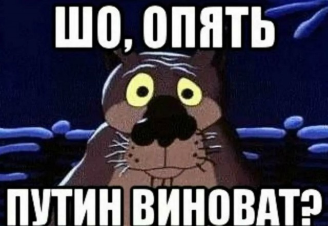 Пандемия съехавших крыш - разновидности болезни. Россия и мир. Часть 37