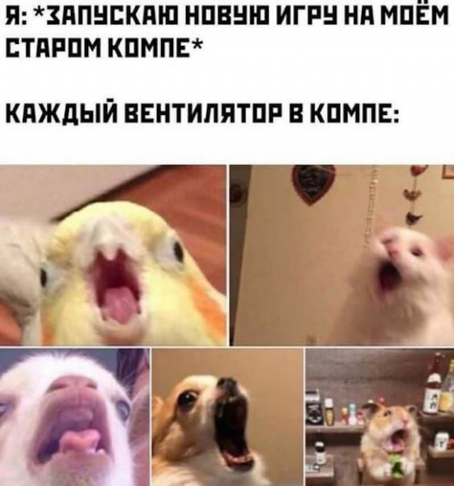 Картинки и мемы для настроения - 29