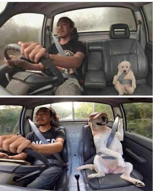 Так себе картинки 26.07.22