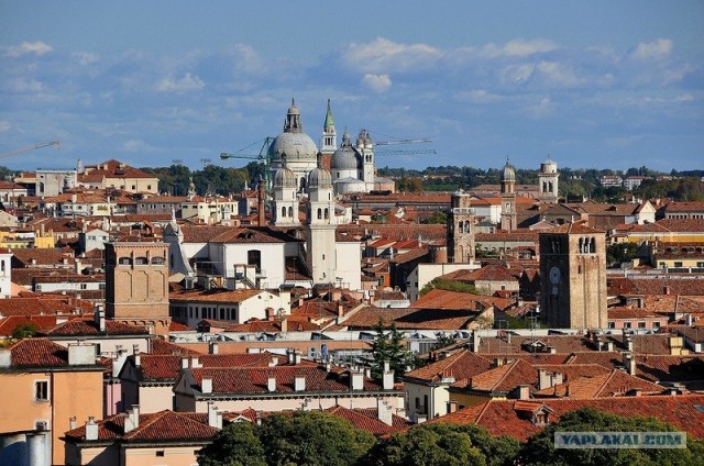 Любовь с первого взгляда