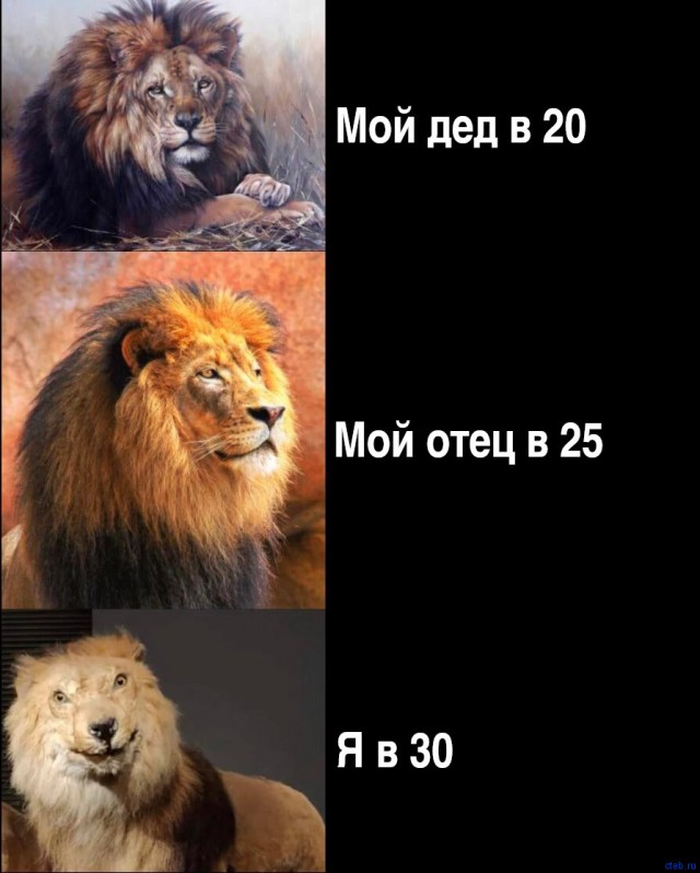 Что происходит с акселерацией людей?