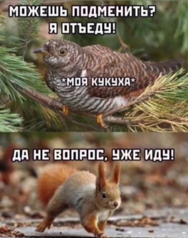 Клуб анонимных алкоголиков
