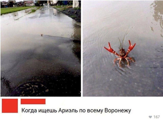 Так себе картинки 31.12.22