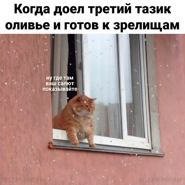 Фейерверки
