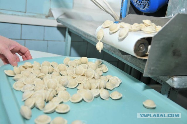 Ты то, что ты ешь