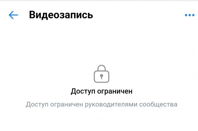 Трое маленьких медвежат потеряли маму и вышли к людям в Тюменской области
