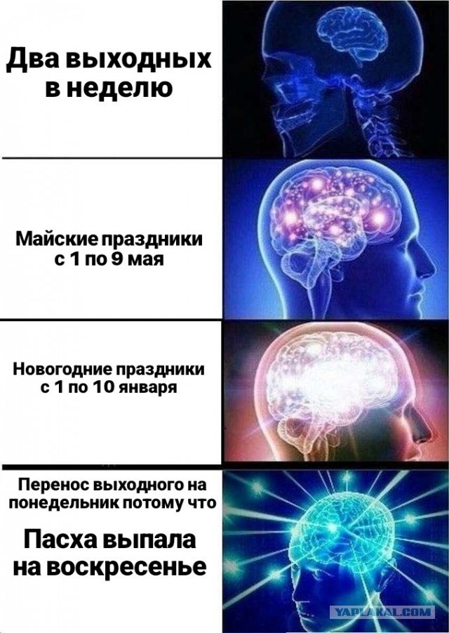 Весёлый полтишок 25.04.23