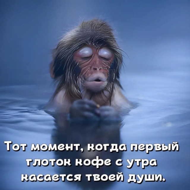 Картинки и мемы, всяко разно - 179