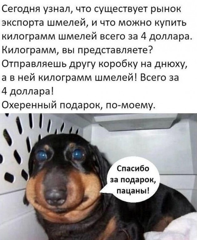 Прикольные и просто красивые картинки 25.07.2023