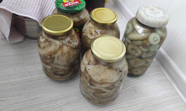 Солим сырые грузди