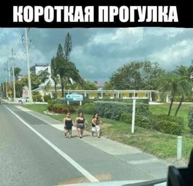 Всего понемногу. От 03.10.23