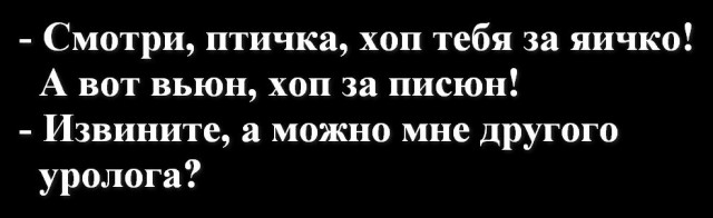 Так себе картинки 28.10.23