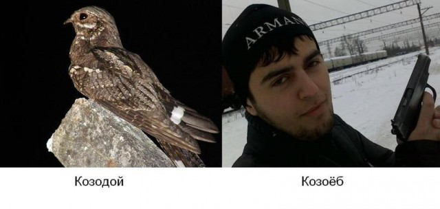 В Москве чеченец изнасиловал 17-летнего зумера