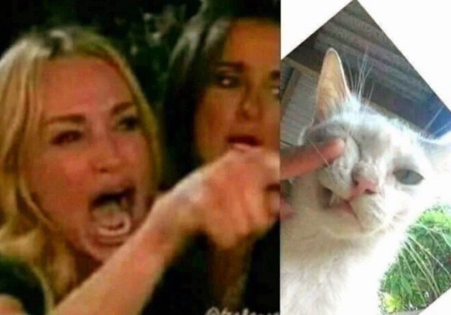 Котокартинки