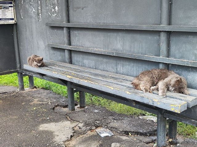 Вот и я стал рабом.