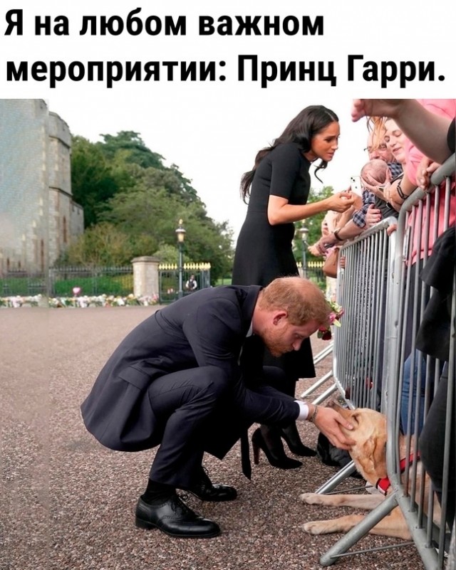 Так себе картинки 19.02.24