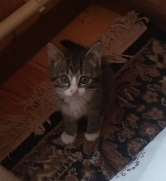 Вот и я стал рабом