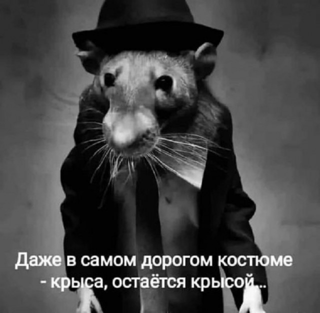 Картинки разные с надписями и без