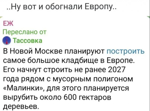 Так себе картинки 28.12.24