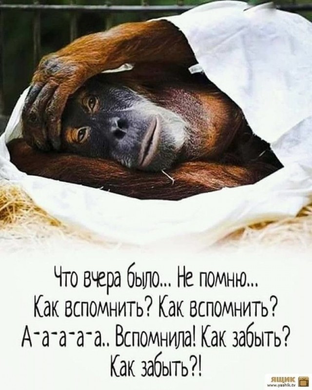 Из мира деградации - 10