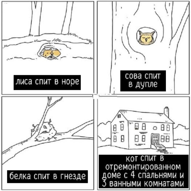 Картинки разные с надписями и без