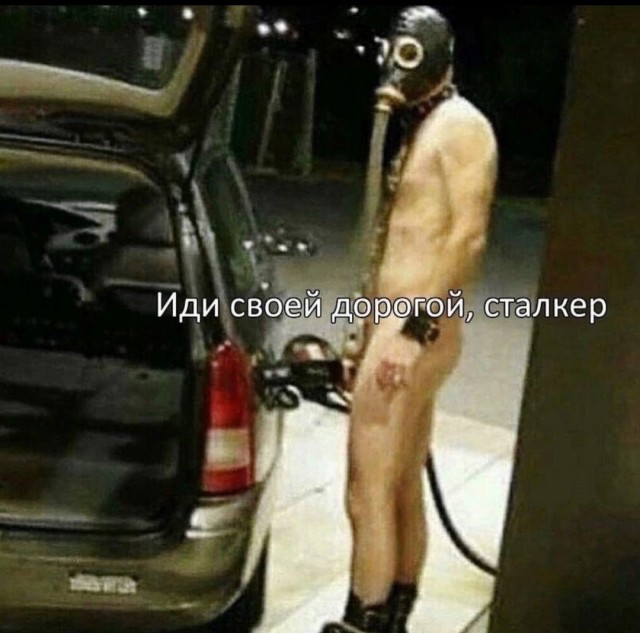 Так себе картинки 11.05.25