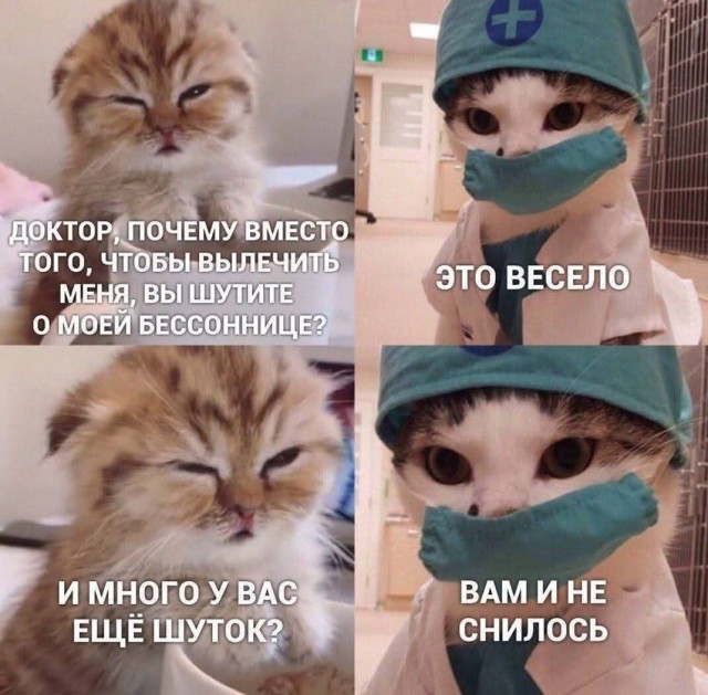 К котовторнику.