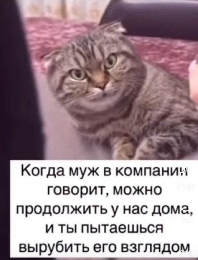 В день защиты детей от взрослых