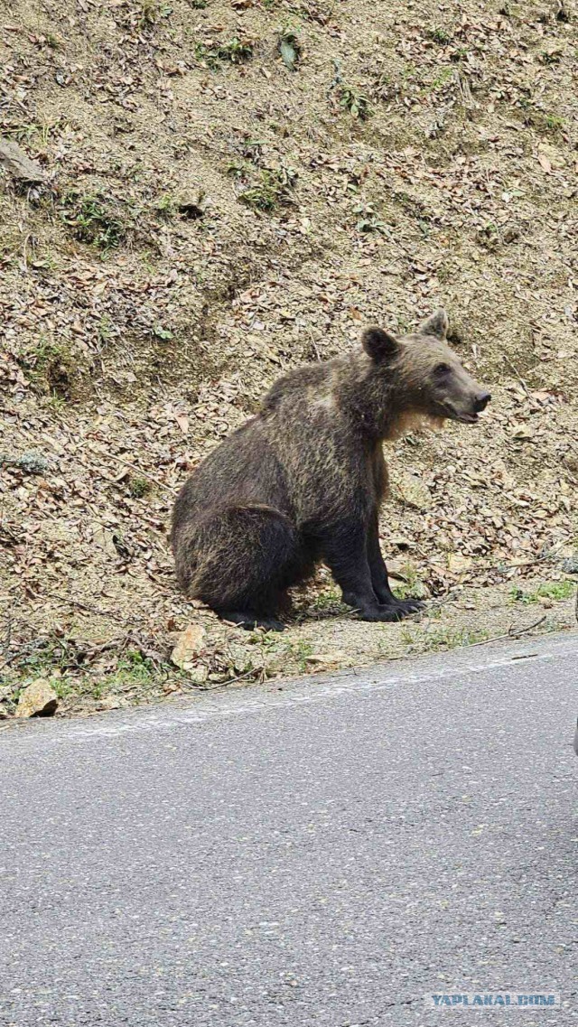 Небольшое путешествие по Румынии