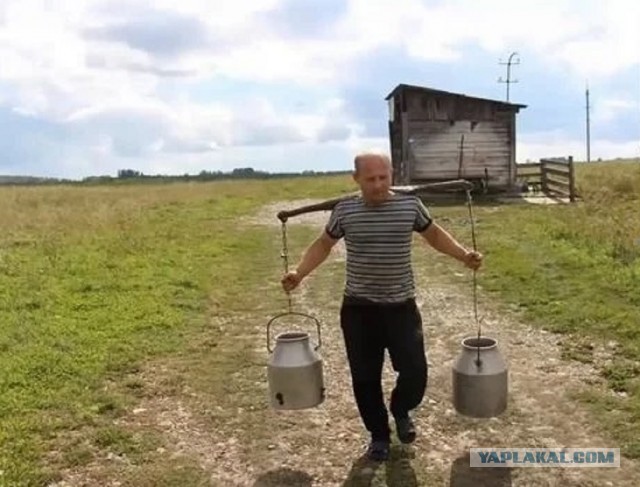 Куплю яблоки