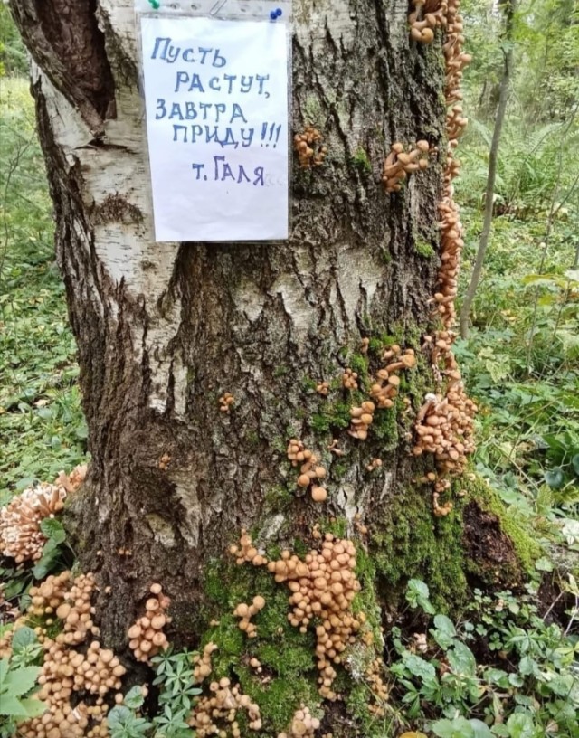Маленькая пятница 24.09