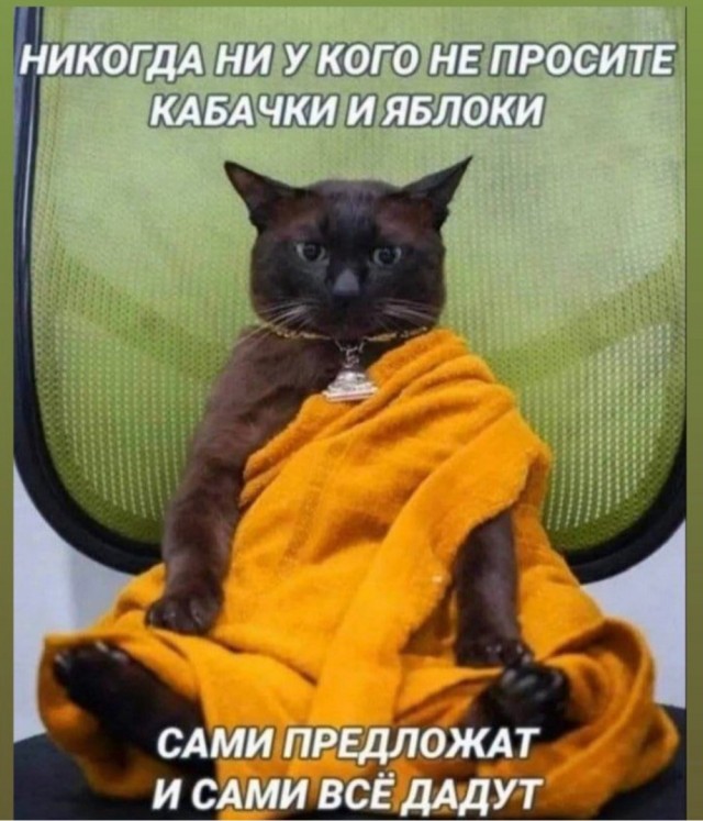 Немного картинок