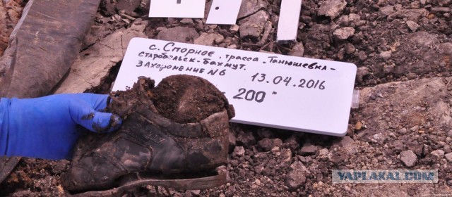 336 тыс человек подписали контракт с Минобороны в 2025 году